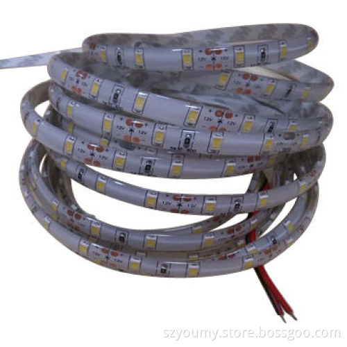 Waterproof SMD 5630 300LED White Flexible Light Strip, Brighter than 5050New
